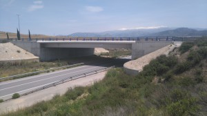 Puente marchalhendin-1     